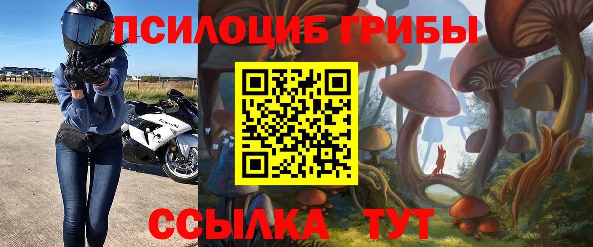 Псилоцибиновые грибы Psilocybe  Вход с VPN  Чусовой 