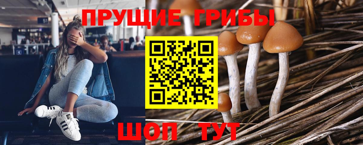 Псилоцибиновые грибы ЛСД Чусовой